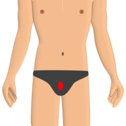 男性器